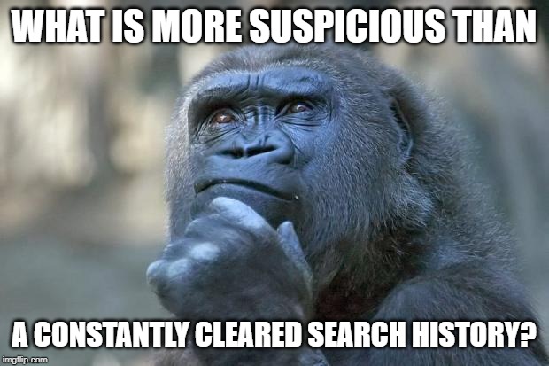 that is the question | WHAT IS MORE SUSPICIOUS THAN; A CONSTANTLY CLEARED SEARCH HISTORY? | image tagged in that is the question | made w/ Imgflip meme maker
