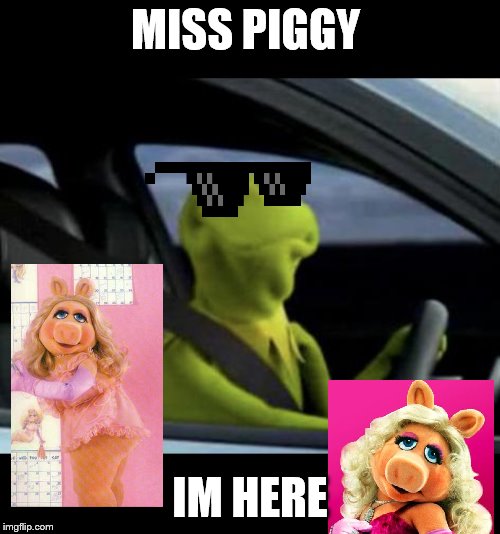 Kermit Driving | MISS PIGGY; IM HERE | image tagged in kermit driving | made w/ Imgflip meme maker