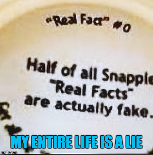 I...I don't what's real anymore... | MY ENTIRE LIFE IS A LIE | image tagged in fake,lies | made w/ Imgflip meme maker