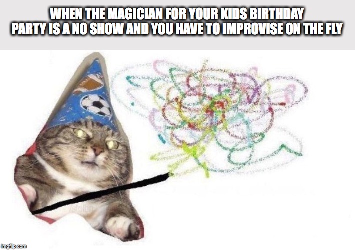 Wizard Cat | WHEN THE MAGICIAN FOR YOUR KIDS BIRTHDAY PARTY IS A NO SHOW AND YOU HAVE TO IMPROVISE ON THE FLY | image tagged in wizard cat | made w/ Imgflip meme maker