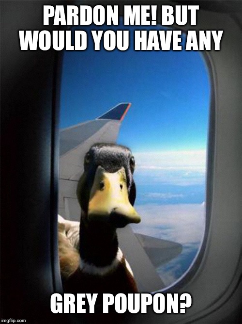 Airplane Duck |  PARDON ME! BUT WOULD YOU HAVE ANY; GREY POUPON? | image tagged in airplane duck | made w/ Imgflip meme maker