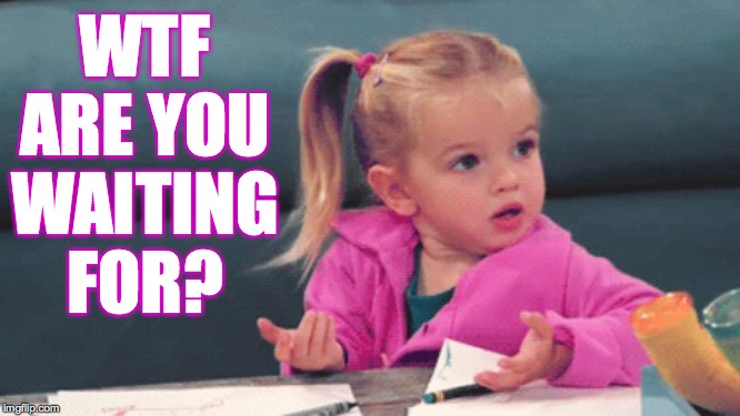 wtf girl | WTF ARE YOU WAITING FOR? | image tagged in wtf girl | made w/ Imgflip meme maker