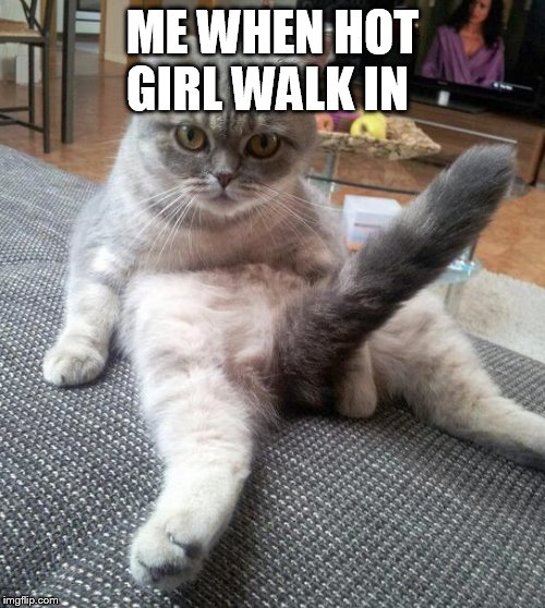Sexy Cat Meme | ME WHEN HOT GIRL WALK IN | image tagged in memes,sexy cat | made w/ Imgflip meme maker