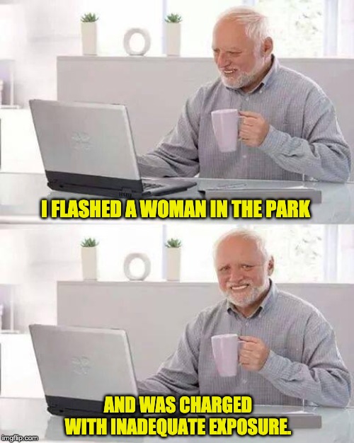 Hide the Pain Harold Meme | I FLASHED A WOMAN IN THE PARK; AND WAS CHARGED WITH INADEQUATE EXPOSURE. | image tagged in memes,hide the pain harold | made w/ Imgflip meme maker