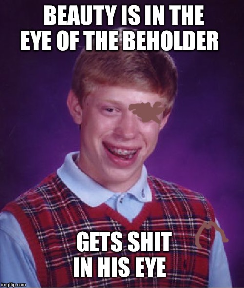 Bad Luck Brian Meme | BEAUTY IS IN THE EYE OF THE BEHOLDER GETS SHIT IN HIS EYE | image tagged in memes,bad luck brian | made w/ Imgflip meme maker