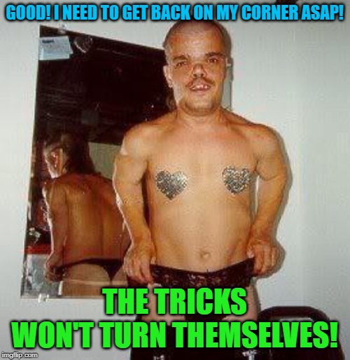 Gay midget | GOOD! I NEED TO GET BACK ON MY CORNER ASAP! THE TRICKS WON'T TURN THEMSELVES! | image tagged in gay midget | made w/ Imgflip meme maker