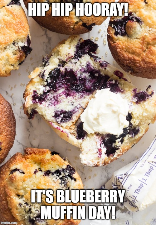HIP HIP HOORAY! IT'S BLUEBERRY MUFFIN DAY! | image tagged in memes,blueberry,muffin | made w/ Imgflip meme maker