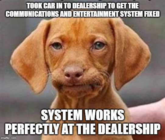 Frustrated dog | TOOK CAR IN TO DEALERSHIP TO GET THE COMMUNICATIONS AND ENTERTAINMENT SYSTEM FIXED; SYSTEM WORKS PERFECTLY AT THE DEALERSHIP | image tagged in frustrated dog,AdviceAnimals | made w/ Imgflip meme maker