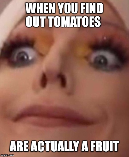 Shook women | WHEN YOU FIND OUT TOMATOES; ARE ACTUALLY A FRUIT | image tagged in shook women | made w/ Imgflip meme maker