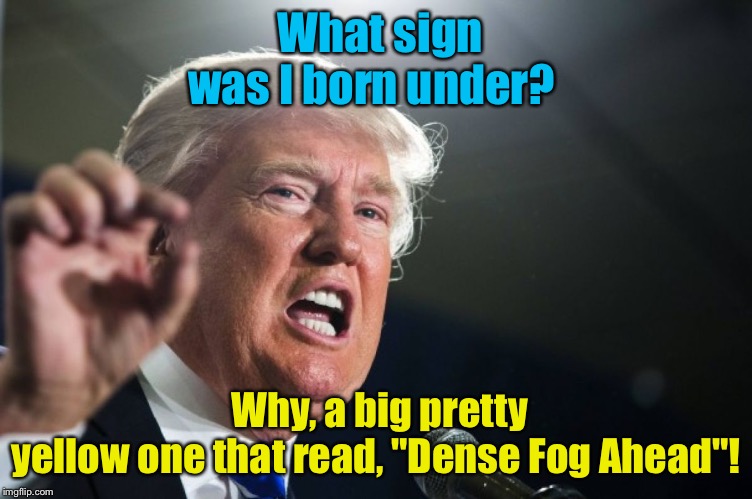 donald trump | What sign was I born under? Why, a big pretty yellow one that read, "Dense Fog Ahead"! | image tagged in donald trump | made w/ Imgflip meme maker