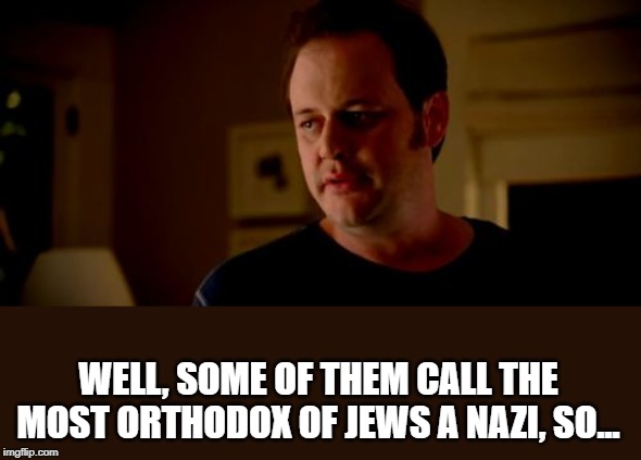 Well he's a girl, so... | WELL, SOME OF THEM CALL THE MOST ORTHODOX OF JEWS A NAZI, SO... | image tagged in well he's a girl so | made w/ Imgflip meme maker