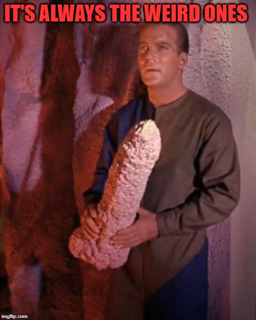 Kirk dildo | IT'S ALWAYS THE WEIRD ONES | image tagged in kirk dildo | made w/ Imgflip meme maker