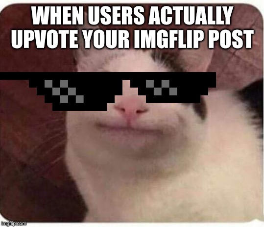 Polite Cat | WHEN USERS ACTUALLY UPVOTE YOUR IMGFLIP POST | image tagged in polite cat | made w/ Imgflip meme maker