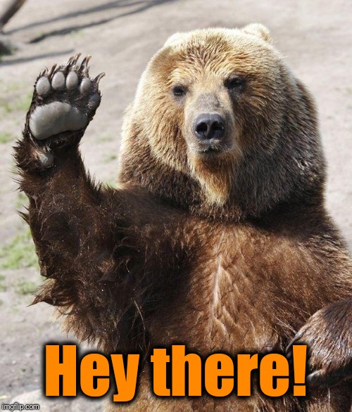 Hello bear | Hey there! | image tagged in hello bear | made w/ Imgflip meme maker