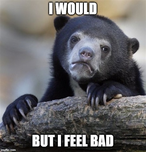 Confession Bear Meme | I WOULD BUT I FEEL BAD | image tagged in memes,confession bear | made w/ Imgflip meme maker