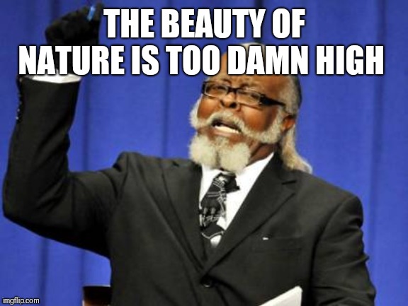 Too Damn High Meme | THE BEAUTY OF NATURE IS TOO DAMN HIGH | image tagged in memes,too damn high | made w/ Imgflip meme maker