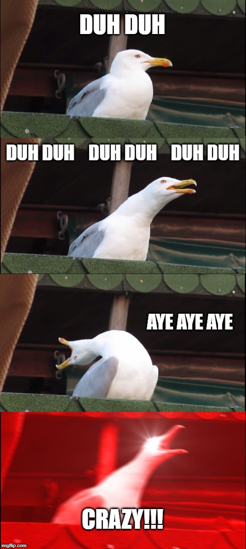 I'm Going Off the Rails... | DUH DUH; DUH DUH    DUH DUH    DUH DUH; AYE AYE AYE; CRAZY!!! | image tagged in memes,inhaling seagull | made w/ Imgflip meme maker