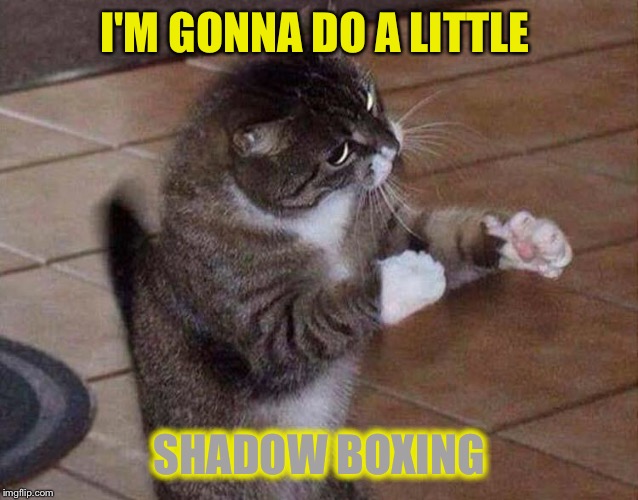 I'M GONNA DO A LITTLE SHADOW BOXING | made w/ Imgflip meme maker
