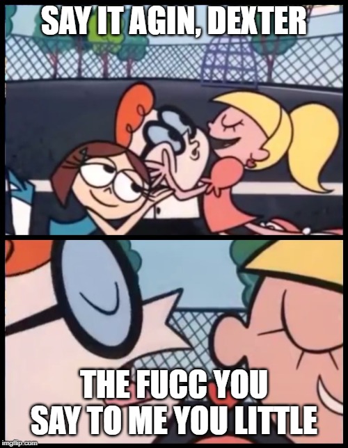 Say it Again, Dexter | SAY IT AGIN, DEXTER; THE FUCC YOU SAY TO ME YOU LITTLE | image tagged in memes,say it again dexter | made w/ Imgflip meme maker