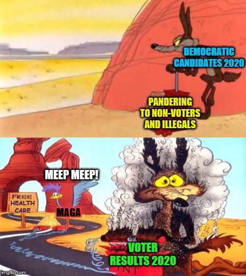 DEMOCRATIC CANDIDATES 2020 PANDERING TO NON-VOTERS AND ILLEGALS VOTER RESULTS 2020 HEALTH CARE MEEP MEEP! MAGA | image tagged in wile e coyote,wile e coyote dynamite | made w/ Imgflip meme maker