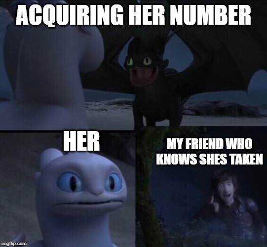 How to train your dragon 3 | ACQUIRING HER NUMBER; HER; MY FRIEND WHO KNOWS SHES TAKEN | image tagged in how to train your dragon 3 | made w/ Imgflip meme maker