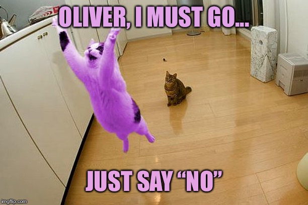 RayCat save the world | OLIVER, I MUST GO... JUST SAY “NO” | image tagged in raycat save the world | made w/ Imgflip meme maker