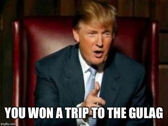 Donald Trump | YOU WON A TRIP TO THE GULAG | image tagged in donald trump | made w/ Imgflip meme maker