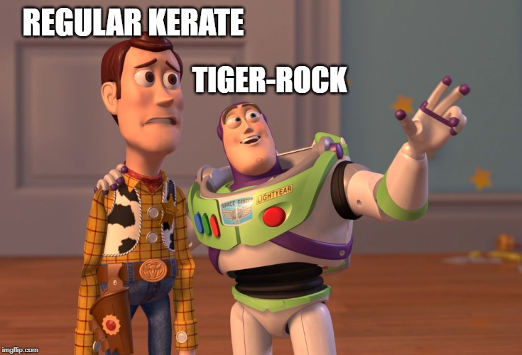 X, X Everywhere | REGULAR KERATE; TIGER-ROCK | image tagged in memes,x x everywhere | made w/ Imgflip meme maker