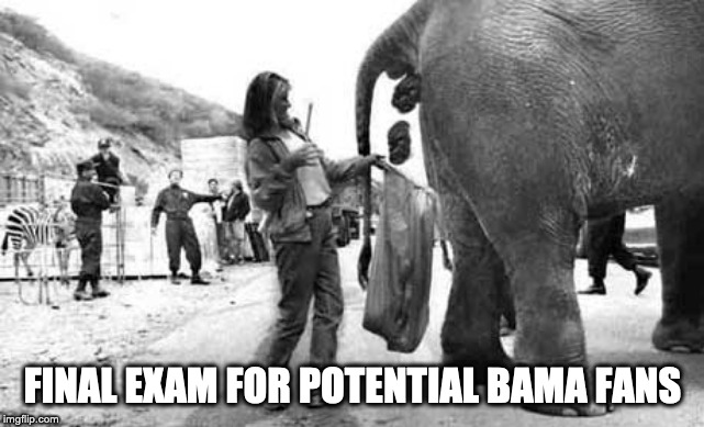 Elephant Poop Bad Day | FINAL EXAM FOR POTENTIAL BAMA FANS | image tagged in elephant poop bad day | made w/ Imgflip meme maker