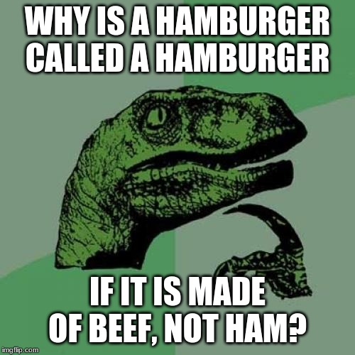 There Should Be A Beefburger Made Of Ham! | WHY IS A HAMBURGER CALLED A HAMBURGER; IF IT IS MADE OF BEEF, NOT HAM? | image tagged in memes,philosoraptor | made w/ Imgflip meme maker