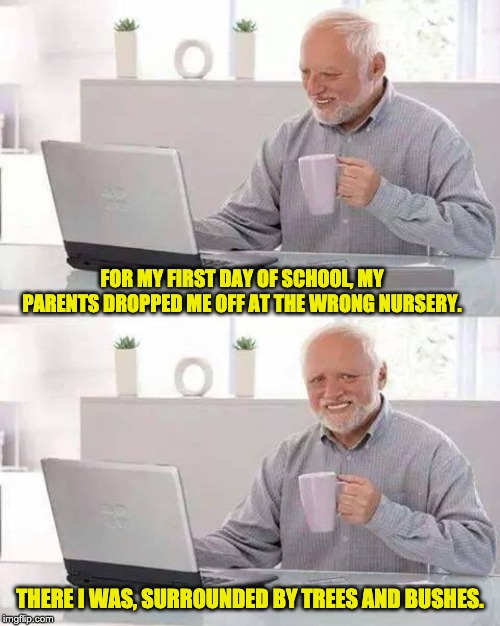 Hide the Pain Harold | FOR MY FIRST DAY OF SCHOOL, MY PARENTS DROPPED ME OFF AT THE WRONG NURSERY. THERE I WAS, SURROUNDED BY TREES AND BUSHES. | image tagged in memes,hide the pain harold | made w/ Imgflip meme maker