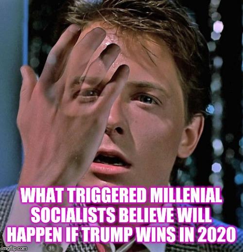 Disappearing socialists | WHAT TRIGGERED MILLENIAL SOCIALISTS BELIEVE WILL HAPPEN IF TRUMP WINS IN 2020 | image tagged in back to the future disappearing hand | made w/ Imgflip meme maker