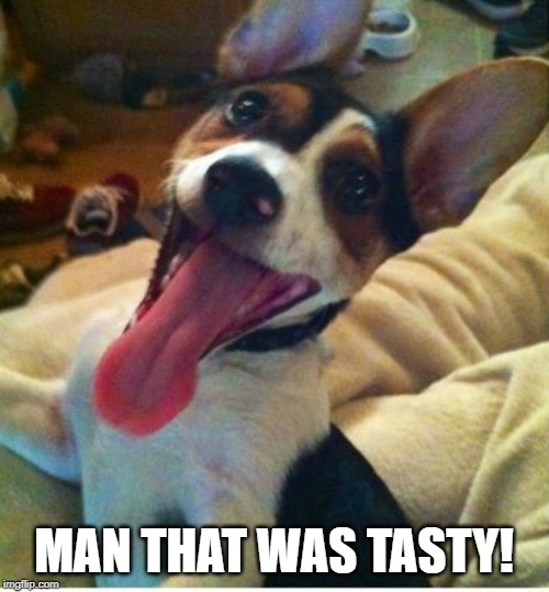 Dog with long tounge | MAN THAT WAS TASTY! | image tagged in dog with long tounge | made w/ Imgflip meme maker
