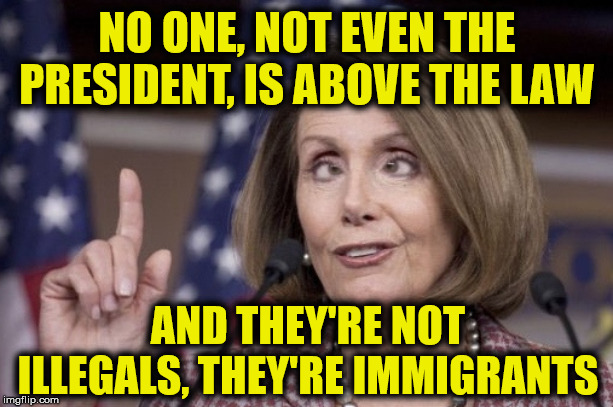 Nancy pelosi | NO ONE, NOT EVEN THE PRESIDENT, IS ABOVE THE LAW; AND THEY'RE NOT ILLEGALS, THEY'RE IMMIGRANTS | image tagged in nancy pelosi | made w/ Imgflip meme maker