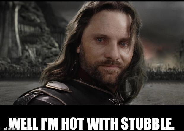 aragorn | WELL I'M HOT WITH STUBBLE. | image tagged in aragorn | made w/ Imgflip meme maker