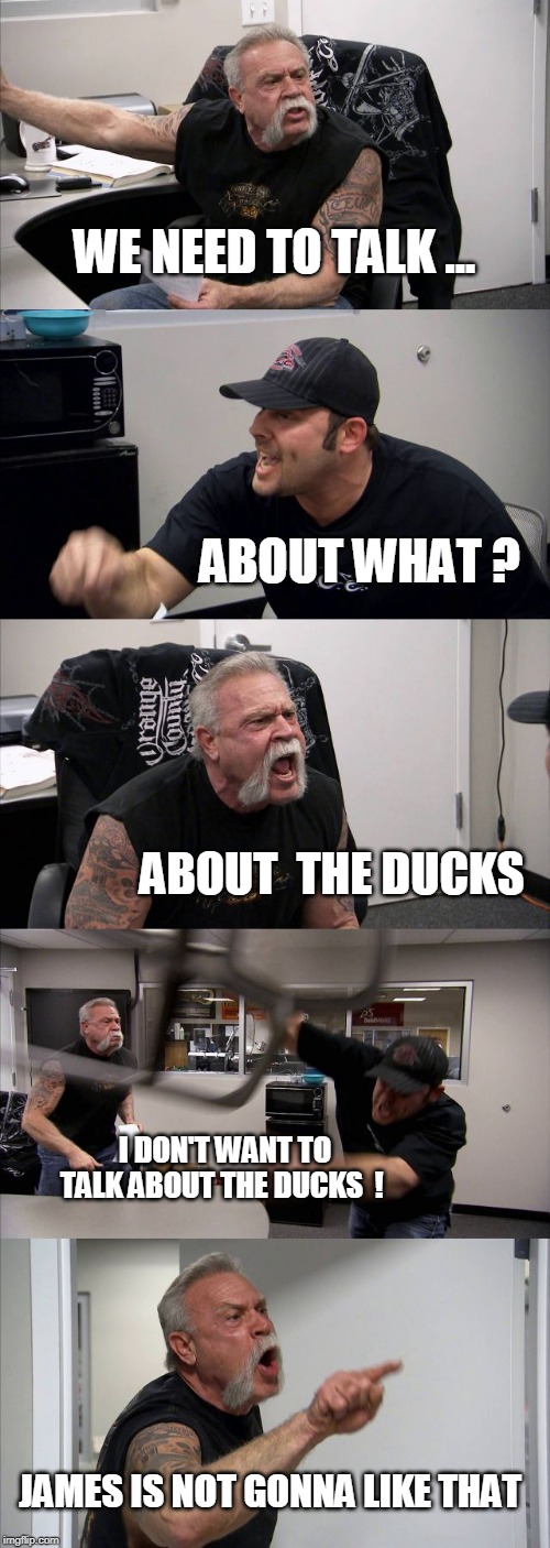 Lets talk about the ducks.... | WE NEED TO TALK ... ABOUT WHAT ? ABOUT  THE DUCKS; I DON'T WANT TO TALK ABOUT THE DUCKS  ! JAMES IS NOT GONNA LIKE THAT | image tagged in memes,american chopper argument,ducks,talk,duck | made w/ Imgflip meme maker