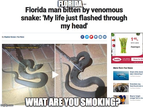 Florida man | FLORIDA; WHAT ARE YOU SMOKING? | image tagged in florida man | made w/ Imgflip meme maker