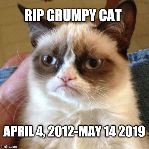 Rip Grumpy Cat | RIP GRUMPY CAT; APRIL 4, 2012-MAY 14 2019 | image tagged in rip,grumpy cat,rip grumpy cat | made w/ Imgflip meme maker