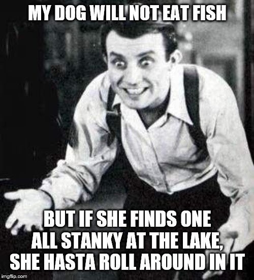 Dwight Frye What the Hell? | MY DOG WILL NOT EAT FISH BUT IF SHE FINDS ONE ALL STANKY AT THE LAKE, SHE HASTA ROLL AROUND IN IT | image tagged in dwight frye what the hell | made w/ Imgflip meme maker
