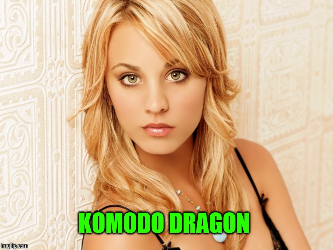 KOMODO DRAGON | made w/ Imgflip meme maker