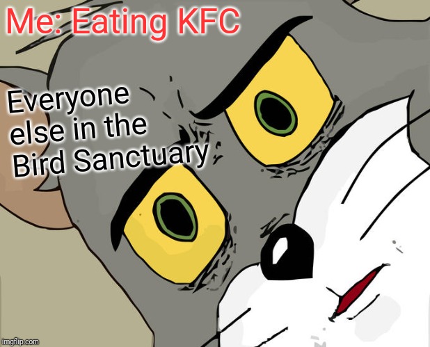 Unsettled Tom | Me: Eating KFC; Everyone else in the Bird Sanctuary | image tagged in memes,unsettled tom | made w/ Imgflip meme maker