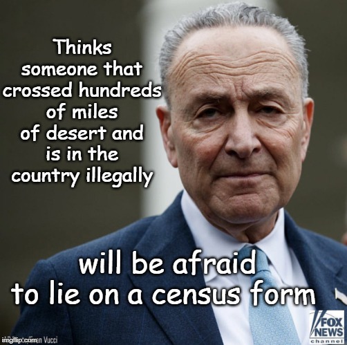Census follies | Thinks someone that crossed hundreds of miles of desert and is in the country illegally; will be afraid to lie on a census form | image tagged in chuck schumer,census,illegal aliens,immigration | made w/ Imgflip meme maker