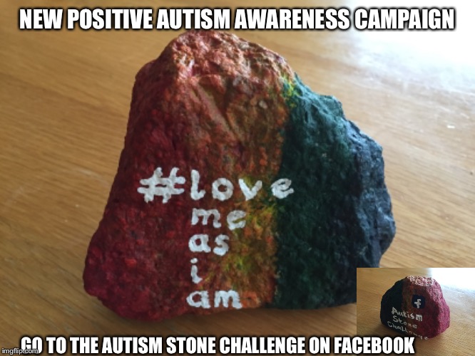 The Autism Stone Challenge | NEW POSITIVE AUTISM AWARENESS CAMPAIGN; GO TO THE AUTISM STONE CHALLENGE ON FACEBOOK | image tagged in autism | made w/ Imgflip meme maker