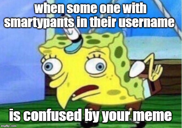 Mocking Spongebob | when some one with smartypants in their username; is confused by your meme | image tagged in memes,mocking spongebob | made w/ Imgflip meme maker