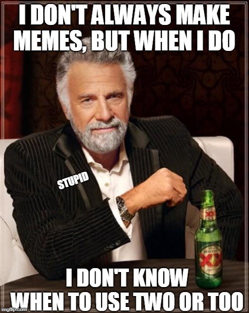 The Most Interesting Man In The World Meme | I DON'T ALWAYS MAKE MEMES, BUT WHEN I DO I DON'T KNOW WHEN TO USE TWO OR TOO STUPID | image tagged in memes,the most interesting man in the world | made w/ Imgflip meme maker