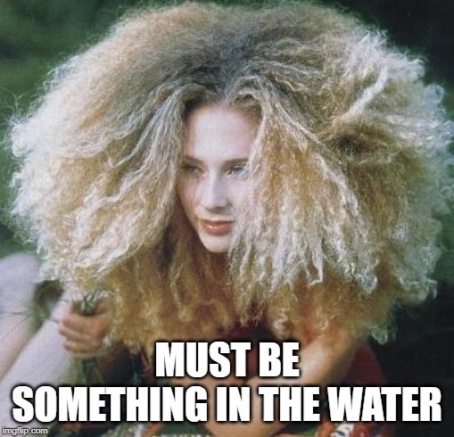 bad hair day | MUST BE SOMETHING IN THE WATER | image tagged in bad hair day | made w/ Imgflip meme maker
