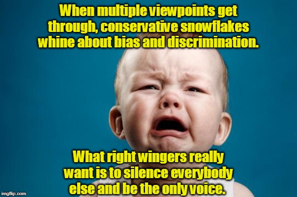 BABY CRYING AND CRYING AND CRYING | When multiple viewpoints get through, conservative snowflakes whine about bias and discrimination. What right wingers really want is to silence everybody else and be the only voice. | image tagged in baby crying,censorship,bias,discrimination,conservative,right wing | made w/ Imgflip meme maker