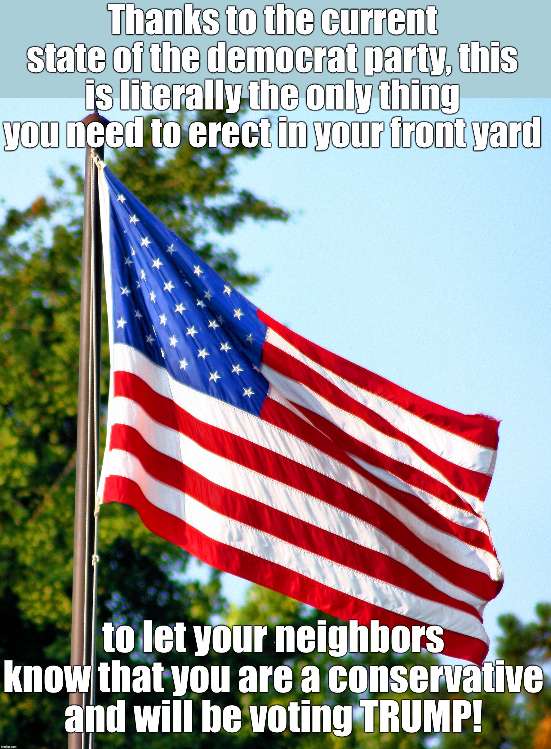 It’s time for all of us to face the facts.  You can no longer be pro-America and also a Democrat.  Those days are gone.. | Thanks to the current state of the democrat party, this is literally the only thing you need to erect in your front yard; to let your neighbors know that you are a conservative and will be voting TRUMP! | image tagged in donald trump,usa | made w/ Imgflip meme maker