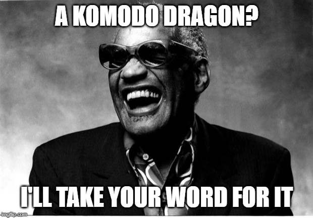 Ray Charles | A KOMODO DRAGON? I'LL TAKE YOUR WORD FOR IT | image tagged in ray charles | made w/ Imgflip meme maker