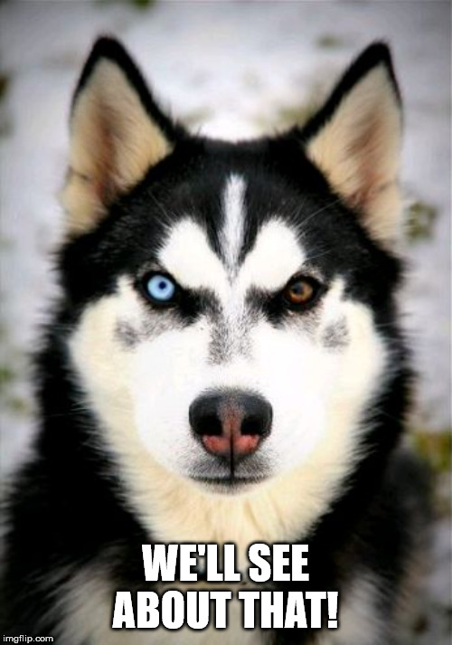 Rage Dog | WE'LL SEE ABOUT THAT! | image tagged in rage dog | made w/ Imgflip meme maker